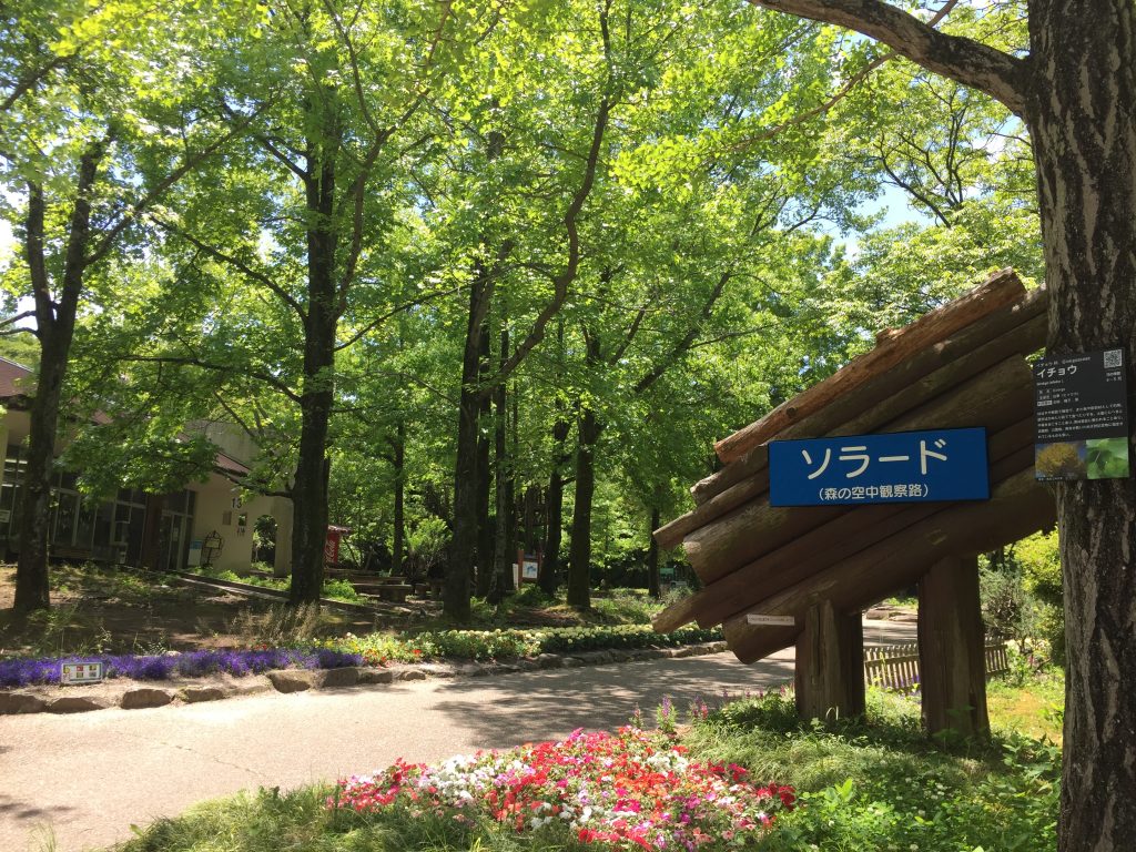 万博記念公園のあじさい祭の見頃や開花情報とアクセス 足湯やソラードもおすすめ わんまぽ